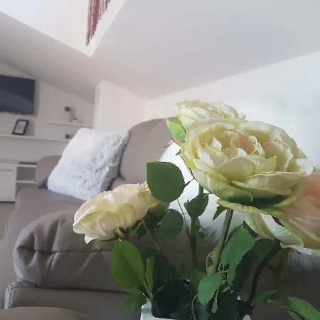 Sara Apartament *